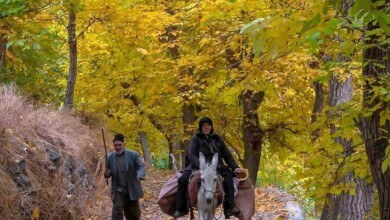 روستای سیرچ کرمان، بهشتی در دل کویر
