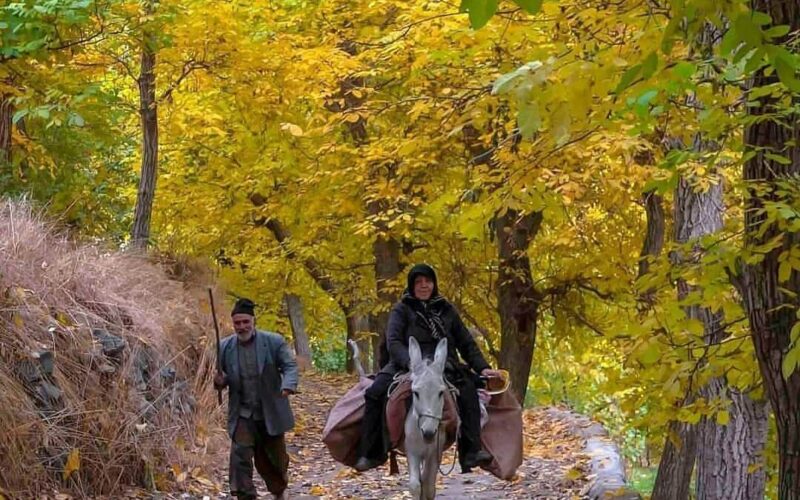 روستای سیرچ کرمان، بهشتی در دل کویر