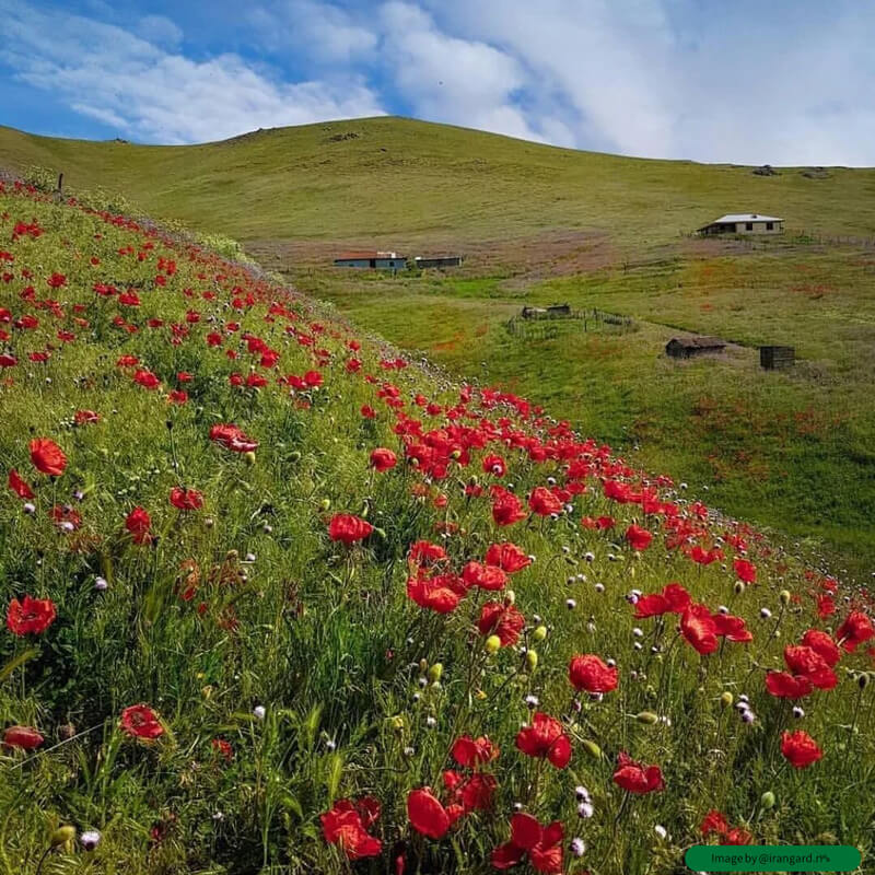 بهترین فصل برای سفر به دشت کالپوش