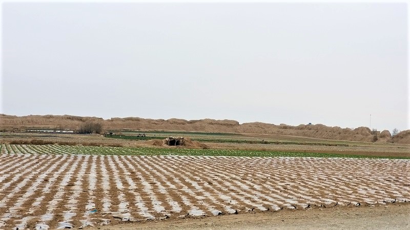 زمین های کشاورزی داخل قلعه ایرج