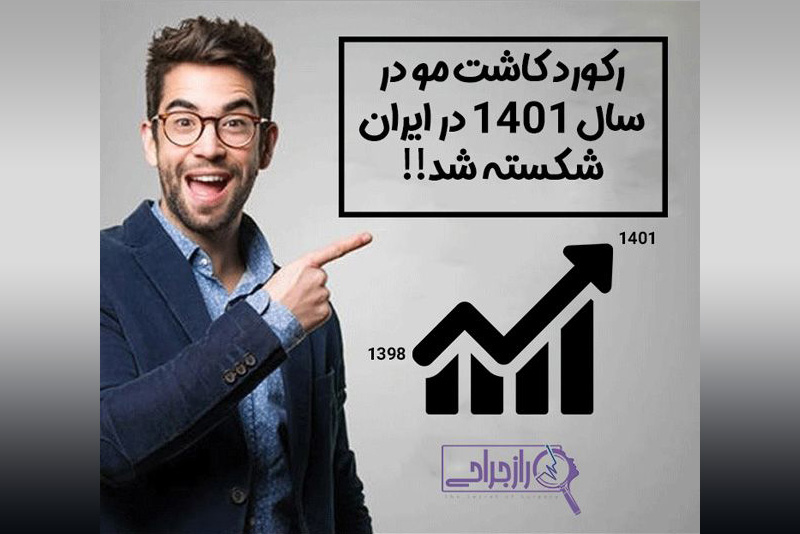 شکسته شدن رکورد کاشت مو در جهان