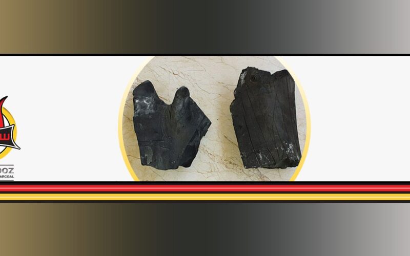 همه چیز در مورد خرید زغال کبابی