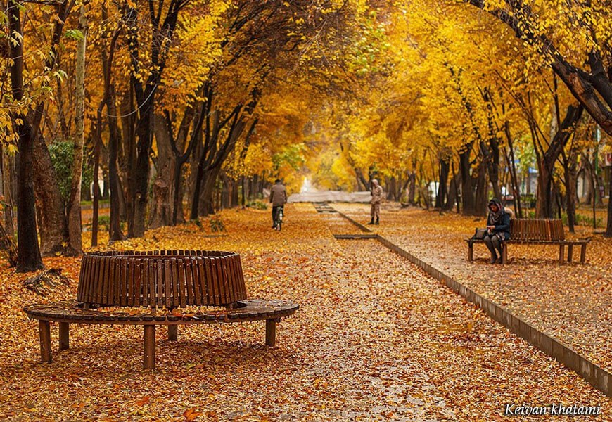 خیابان ارم؛ شیراز بهترین مکان برای سفر در پاییز