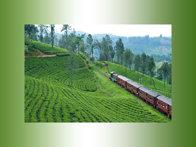 آشنایی با قطار معروف سریلانکا و مسیر زیبای آن