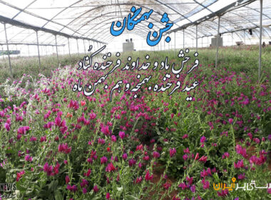 آشنایی با جشن بهمنگان