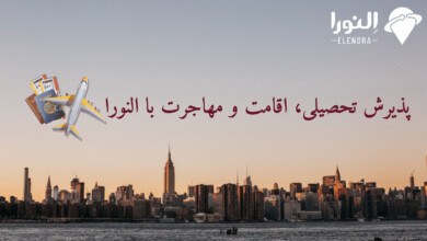 چگونگی دریافت مشاوره در فرآیند مهاجرت