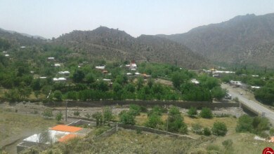 آشنایی با روستای دلفارد جیرفت