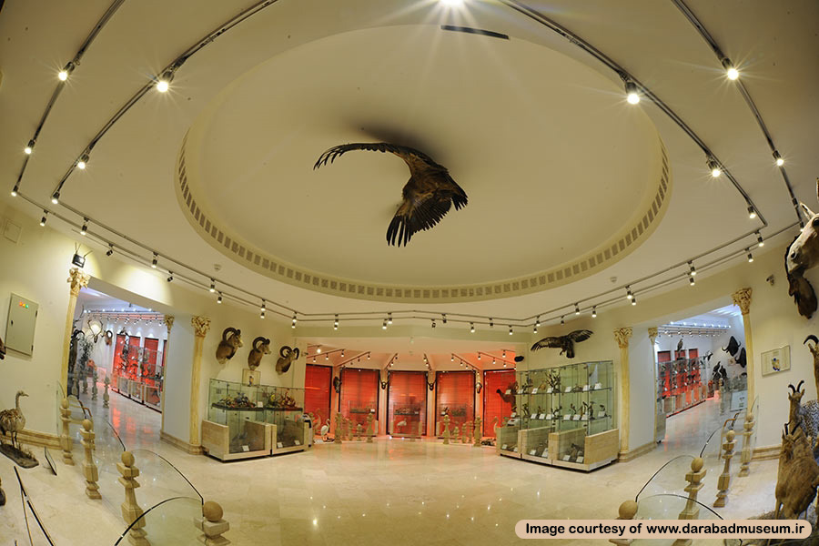 آشنایی با موزه طبیعت و حیات وحش دارآباد