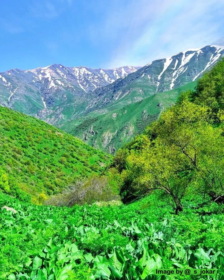 نمایی از ییلاق سیلوانا