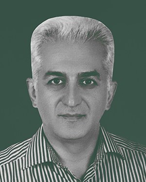 رحمان محرابی، مدیر سایت دستی بر ایران