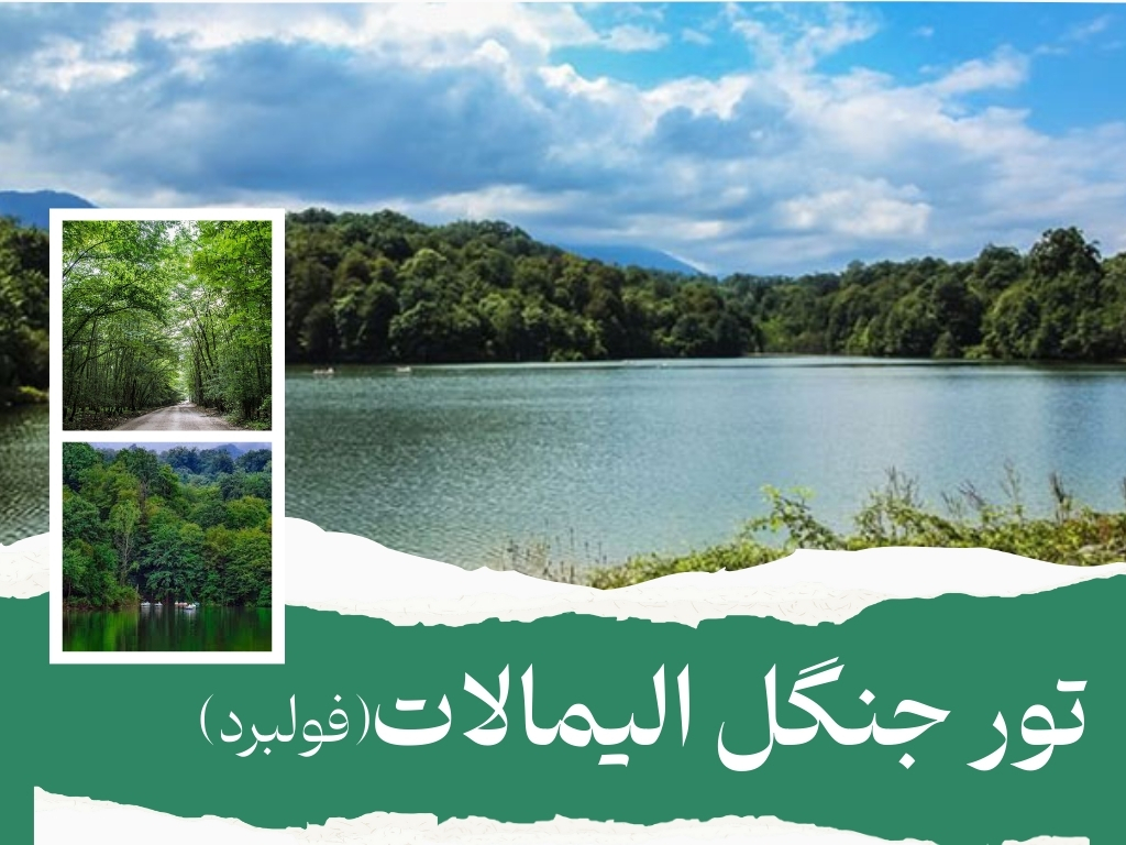 تور جنگل الیمالات