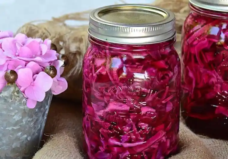 ترشی کلم قرمز