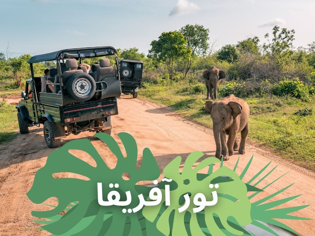 تور آفریقا