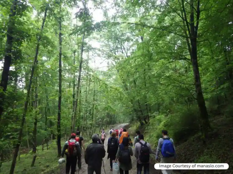 تور طبیعت گردی