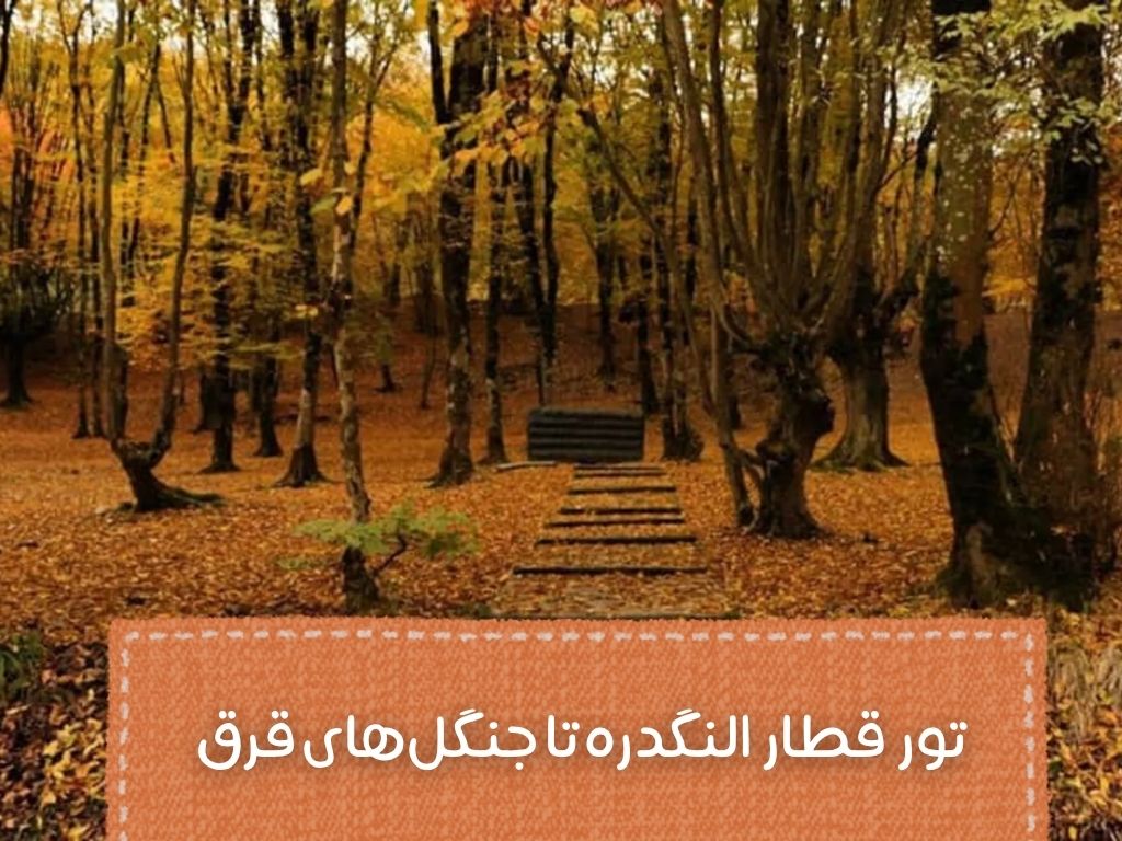 تور قطار النگدره تا جنگل‌های قرق