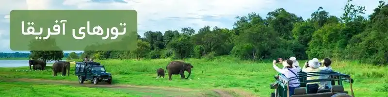 تورهای آفریقا