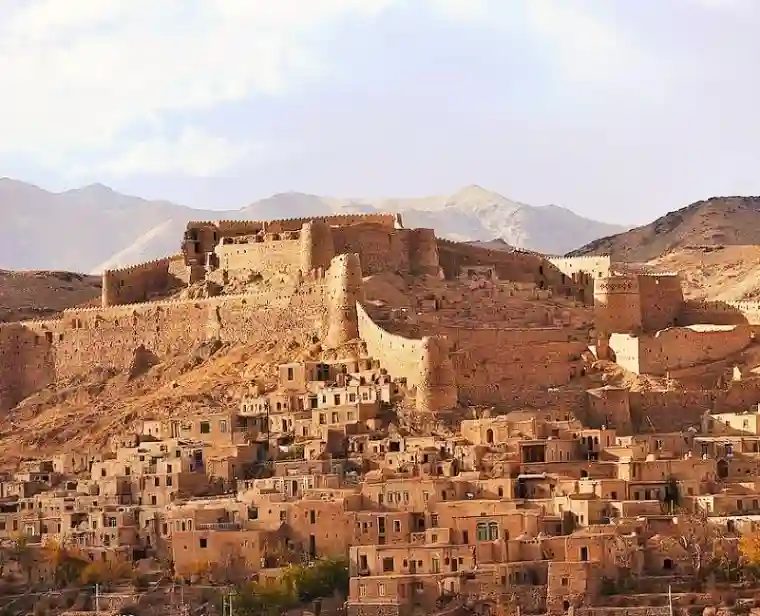 جاذبه های گردشگری بیرجند: ارگ فورگ