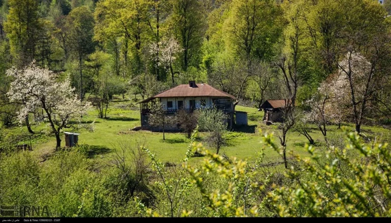 جاهای دیدنی گیلان در بهار