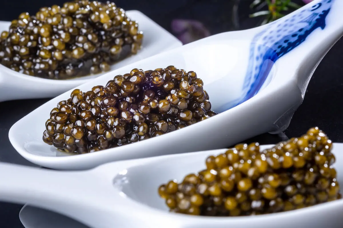 خرید خاویار اصل