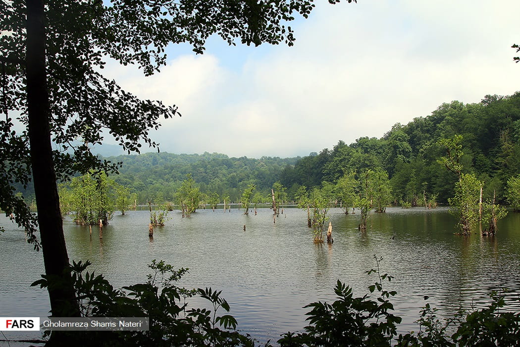 دریاچه ممرز