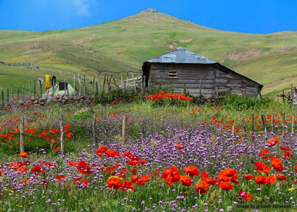 روستای سوباتان و دشت شقایق آن