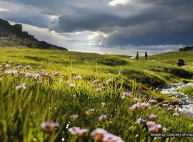 دشت میشان همدان