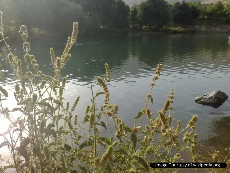 سراب گاماسیاب بروجرد