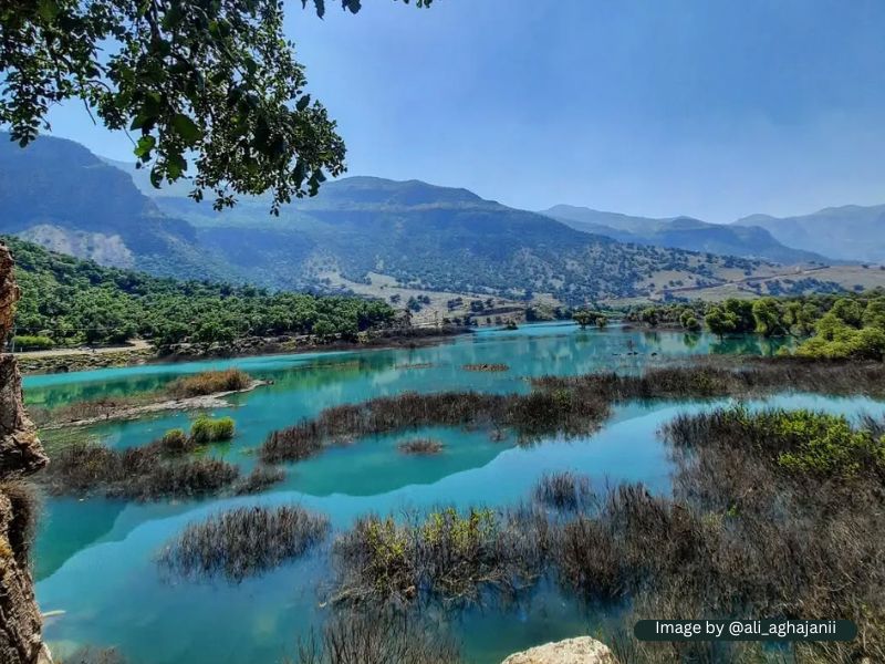 سفر به دشت شیمبار