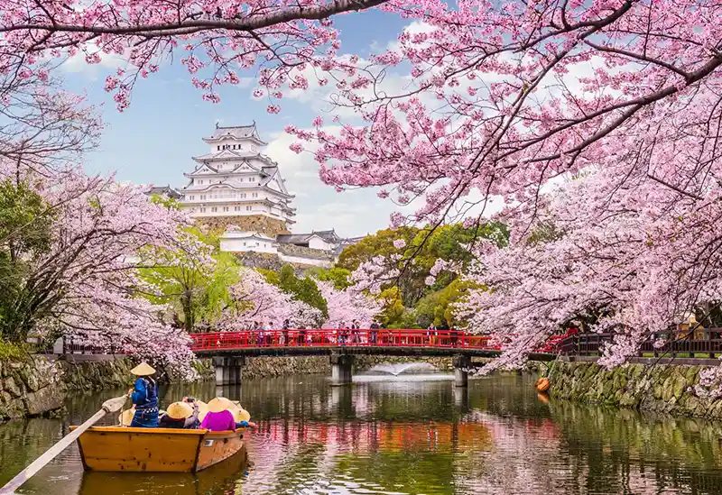 سفر دخترانه به ژاپن