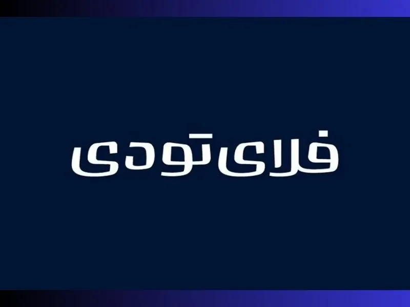 شرکت فلای تودی