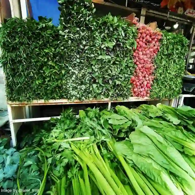 طبخ غذاهای ایرانی با مواد غذایی ارزان