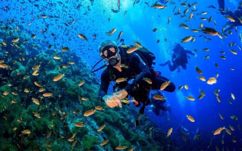 غواصی در کیش