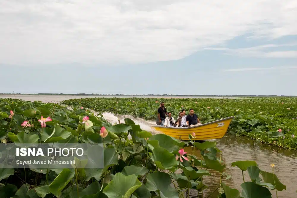 تالاب انزلی گیلان