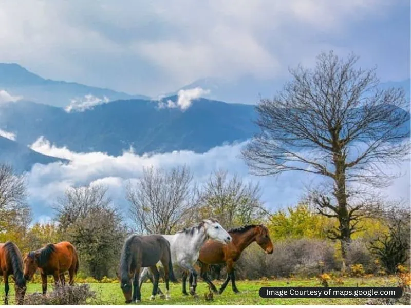قله الیمستان