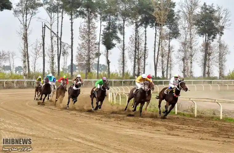 جاهای دیدنی گنبد کاووس؛ مجموعه سوارکاری گنبد قابوس