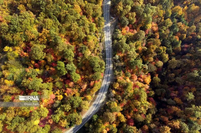 مسیر جنگل سیسنگان