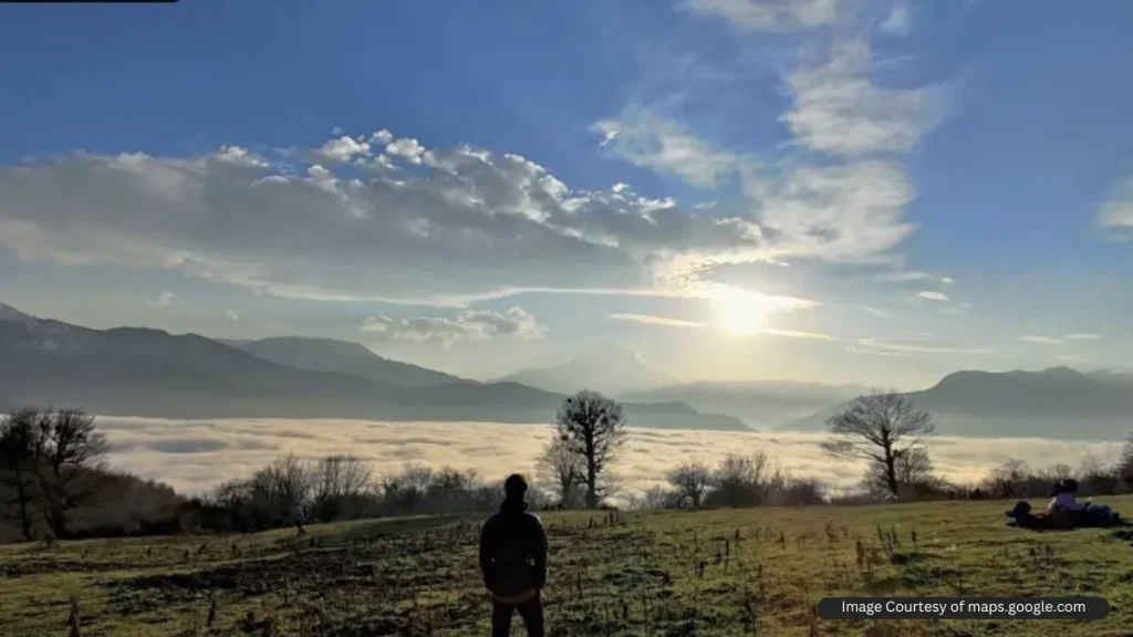 ارتفاعات جنگل الیمستان آمل