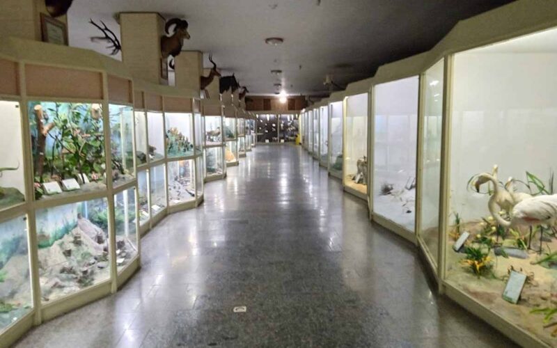 نگاهی به موزه تاریخ طبیعی همدان
