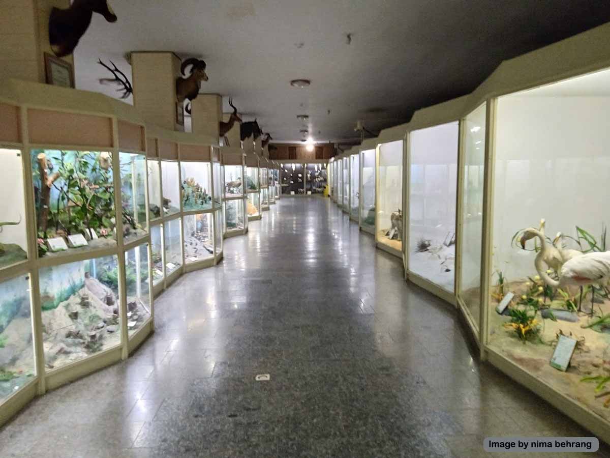 نگاهی به موزه تاریخ طبیعی همدان
