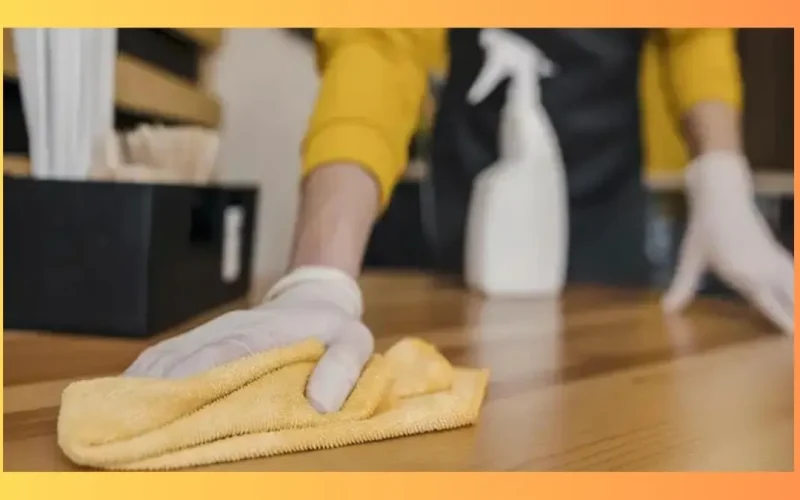 قیمت نظافت منزل