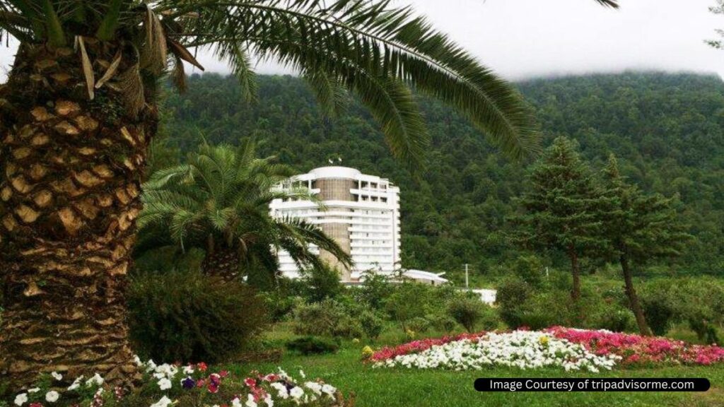 بهترین هتل های جنگلی ایران