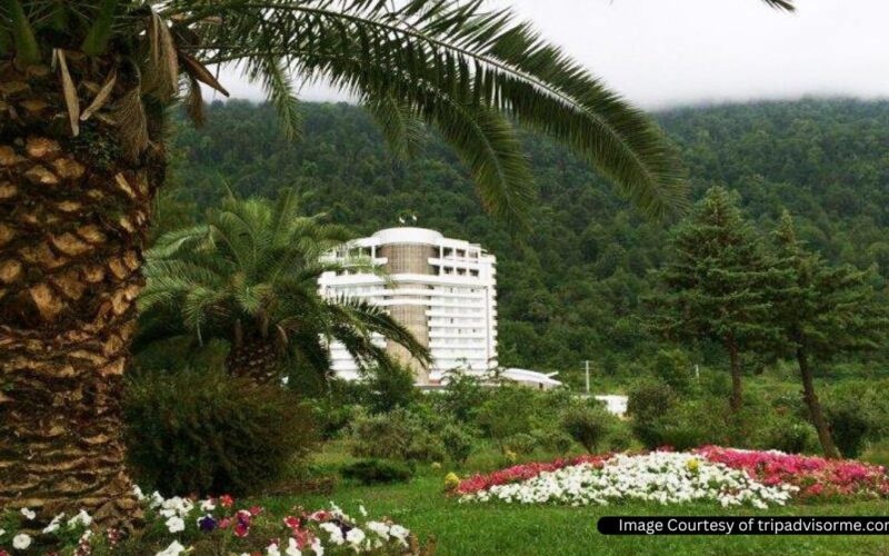 بهترین هتل های جنگلی ایران