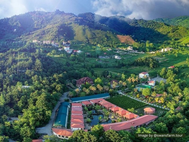 هتل مزرعه‌ی قوهای لاهیجان