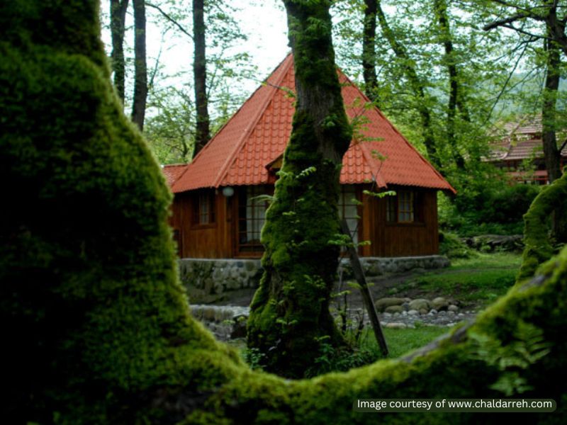 هتل جنگلی چالدره تنکابن