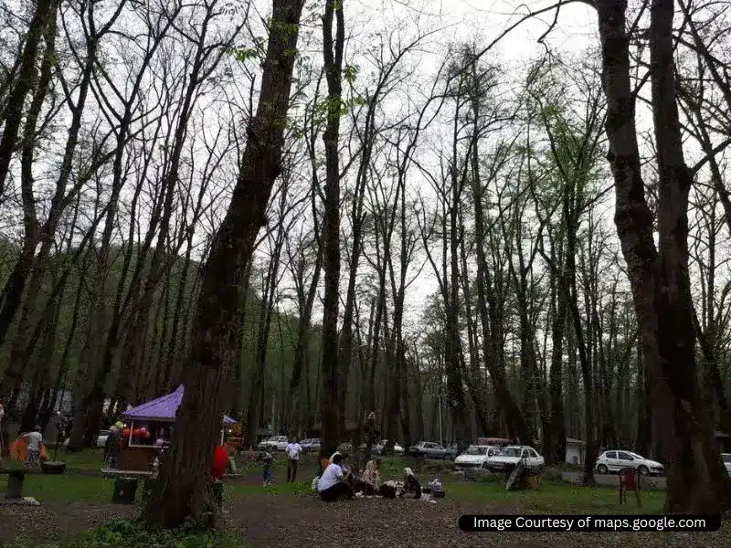 پارک جنگلی فین چالوس