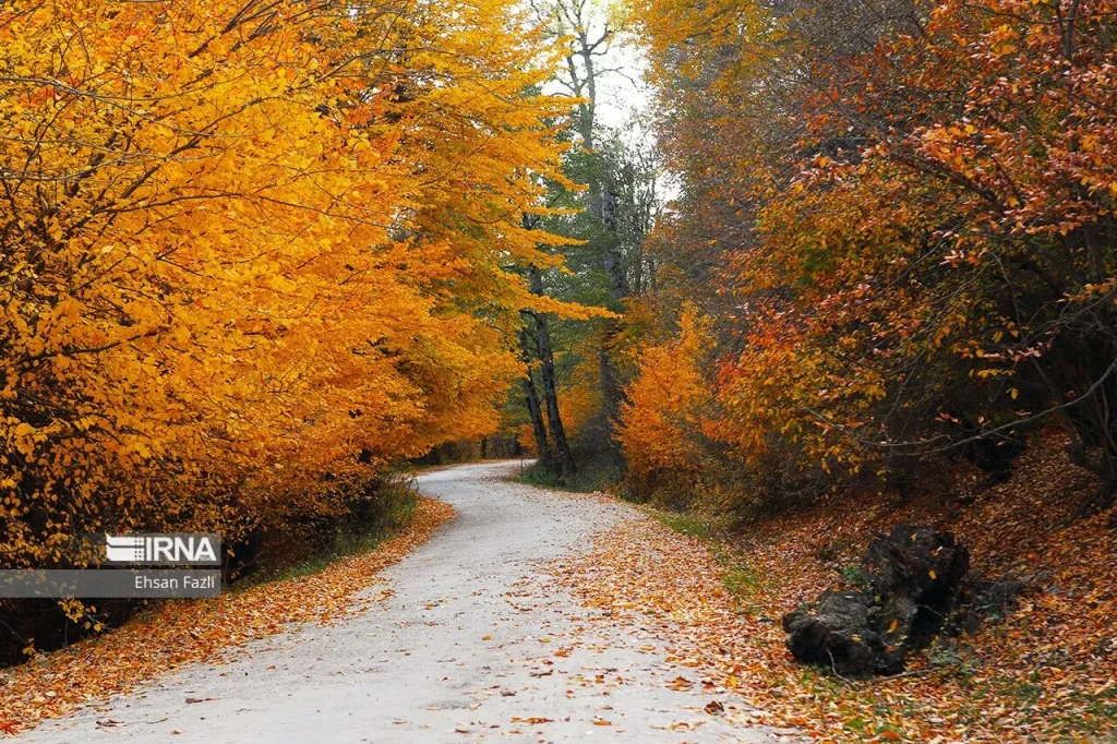 پاییز پارک جنگلی سی‌سنگان