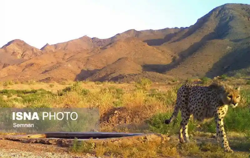جاذبه های طبیعی ایران: پارک ملی خارتوران