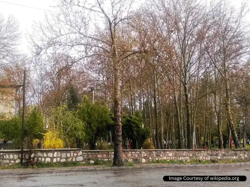 پارک وحدت بروجرد