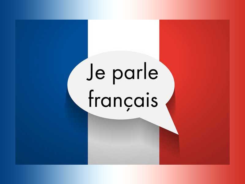 نوشتن پایان نامه به زبان فرانسه به چه مهارت هایی نیاز دارد؟