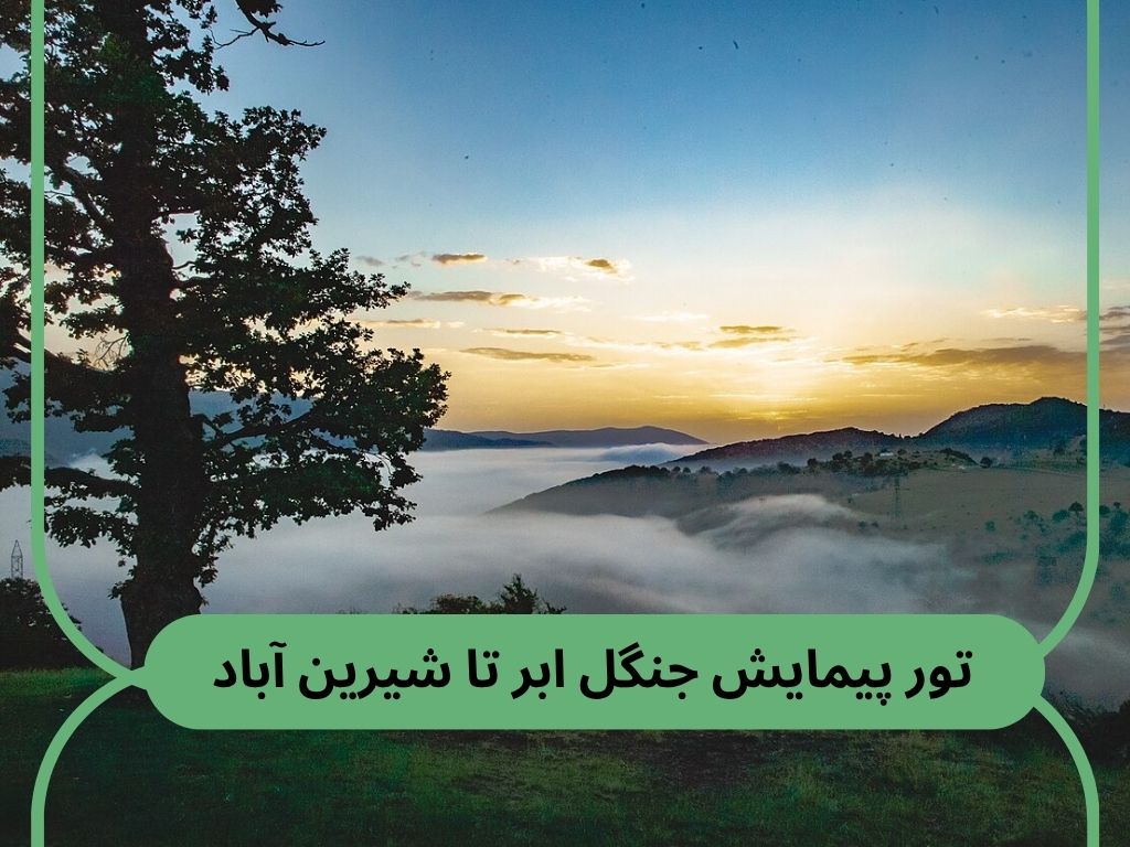 تور جنگل ابر شاهرود